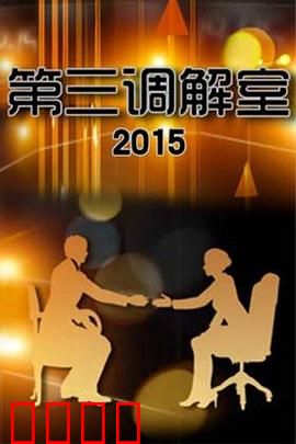 调解风暴:真相背后的较量