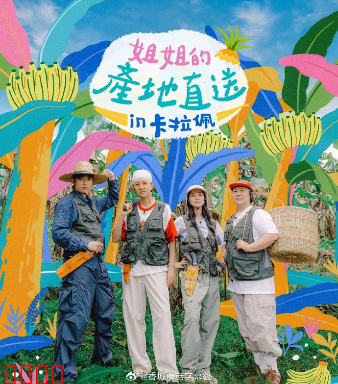 姐姐家的产地直送3:乡村姻缘风波