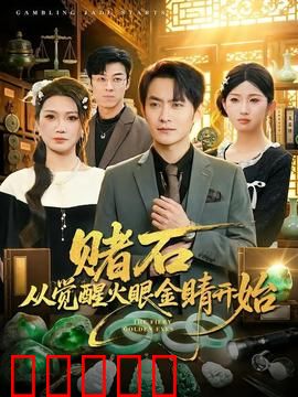 赌石从觉醒火眼金睛开始:一眼定乾坤